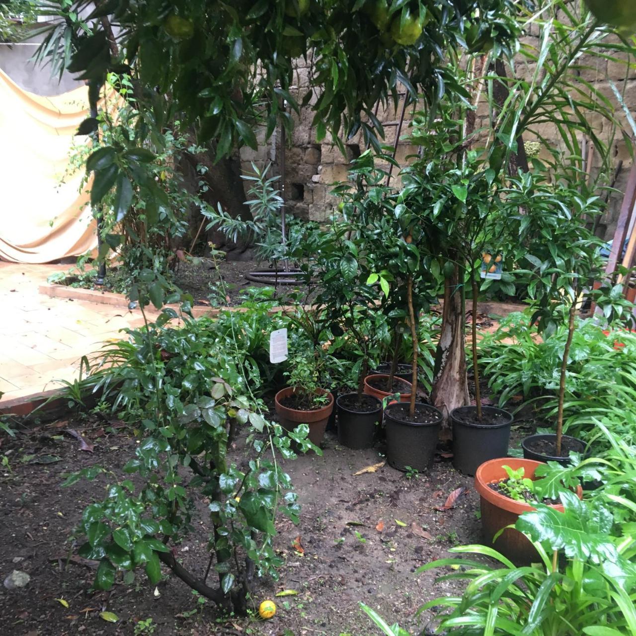 那不勒斯Il Giardino Di Daphne住宿加早餐旅馆 外观 照片