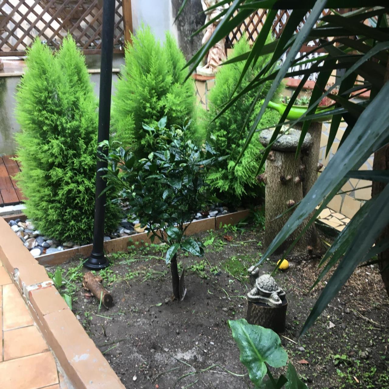 那不勒斯Il Giardino Di Daphne住宿加早餐旅馆 外观 照片